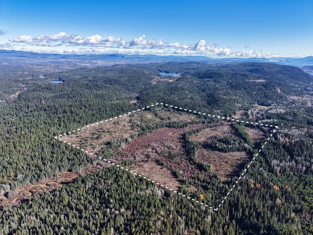 Lot for sale in Forest Grove, 100 Mile House, 3386 Eagle Creek Road, 263200265 | Realtylink.org