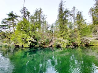 House for sale in Tofino, Lt 3 Cypress Bay, 414185 | Realtylink.org