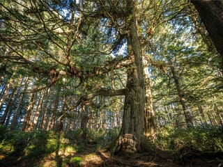 Lot for sale in Ucluelet, 0 Francis Isl, 955496 | Realtylink.org