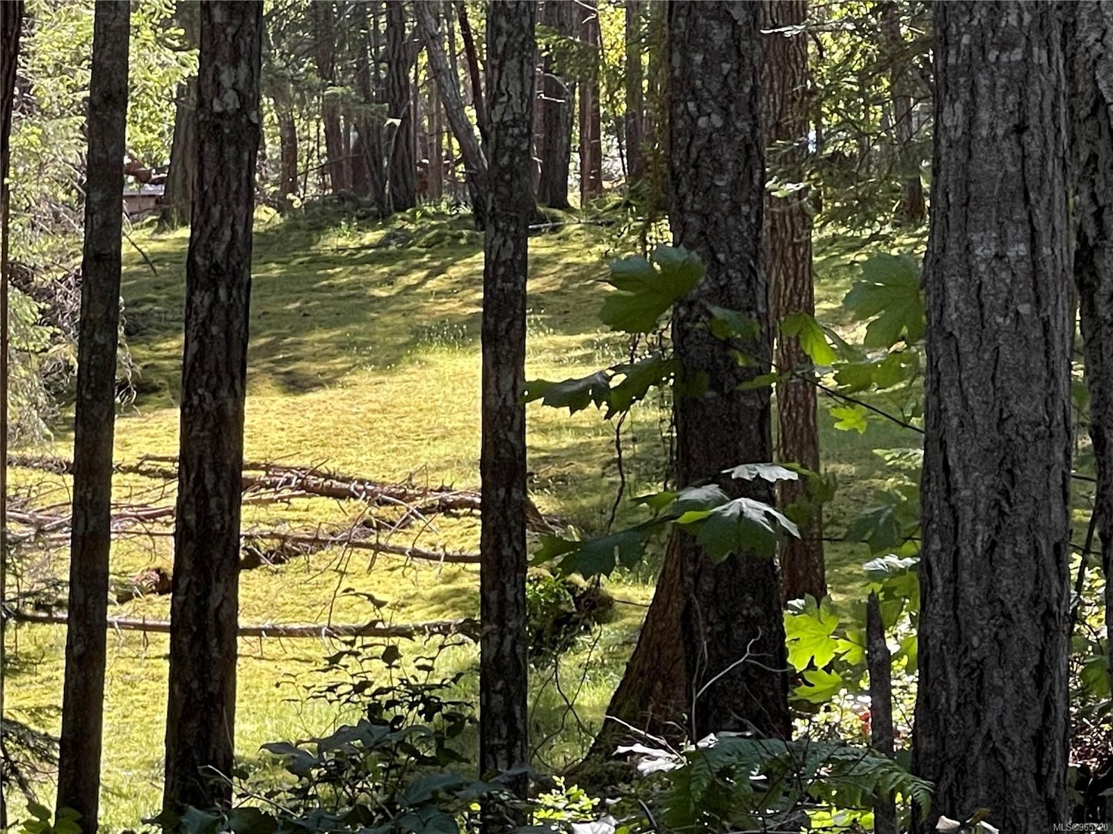 Lot for sale in Mudge Island, Lot 2 Driftwood Dr, 965720 | Realtylink.org