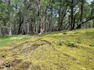 Lot for sale in Mudge Island, Lot 2 Driftwood Dr, 965720 | Realtylink.org