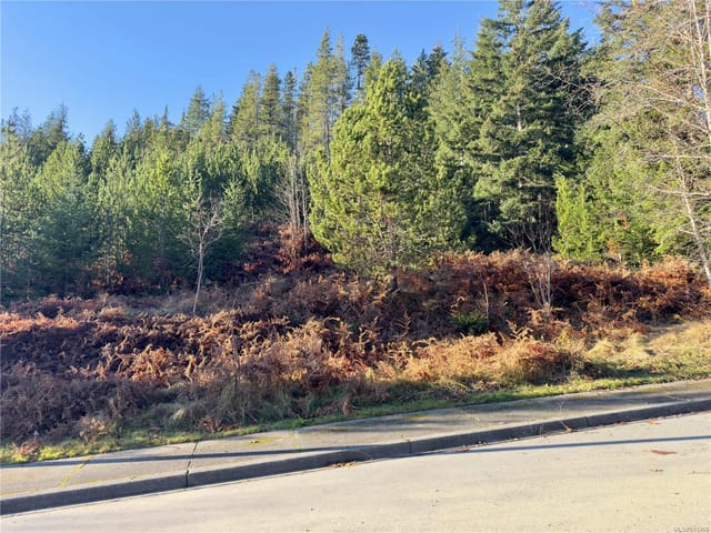 Lot for sale in Gold River, 604 Scout Lake Rd, 981306 | Realtylink.org