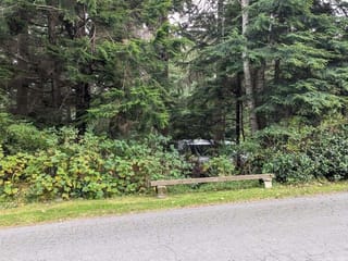 Lot for sale in Alert Bay, 542e Larch St, 985241 | Realtylink.org