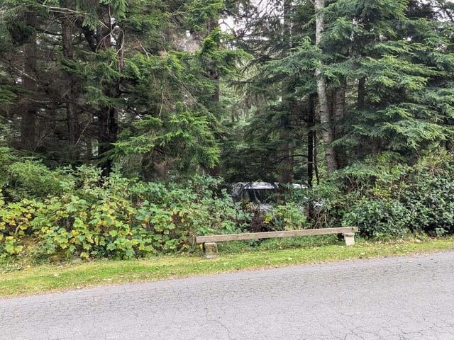 Lot for sale in Alert Bay, 542e Larch St, 985241 | Realtylink.org