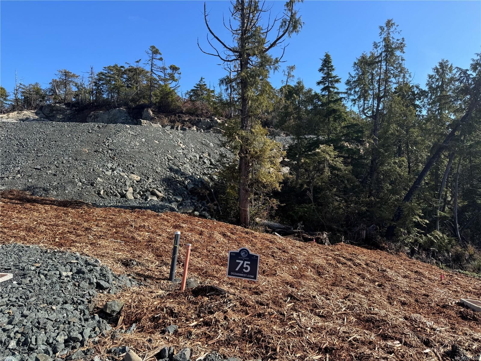 Lot for sale in Ucluelet, Lot 75 Forbes Rd, 991493 | Realtylink.org