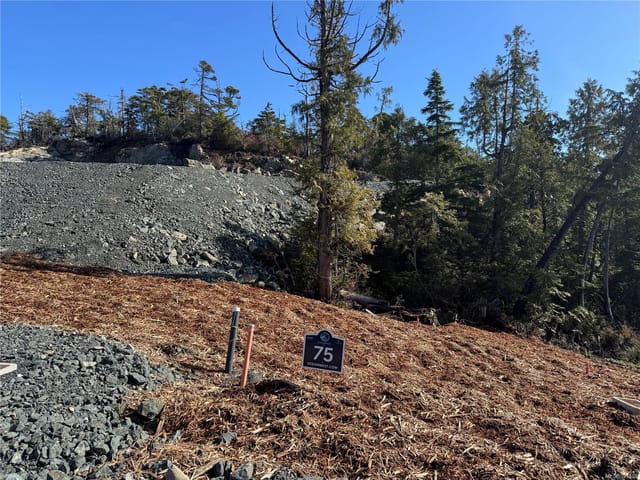 Lot for sale in Ucluelet, Lot 75 Forbes Rd, 991493 | Realtylink.org