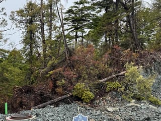 Lot for sale in Ucluelet, Lot 89 Shore Pine Dr, 991582 | Realtylink.org
