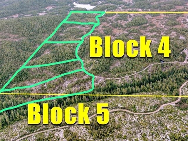 Lot for sale in Port Hardy, 5 Cape Sutil Holberg Offhwy, 999454 | Realtylink.org